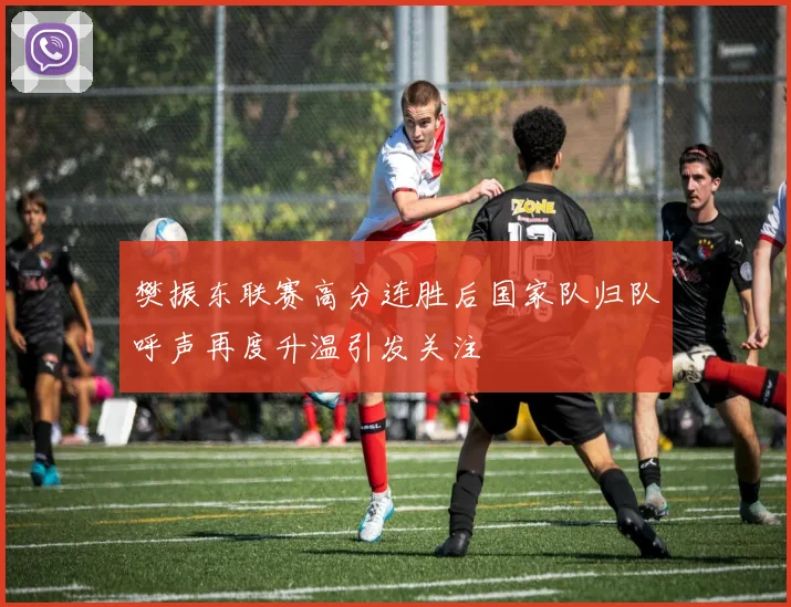 樊振东联赛高分连胜后国家队归队呼声再度升温引发关注