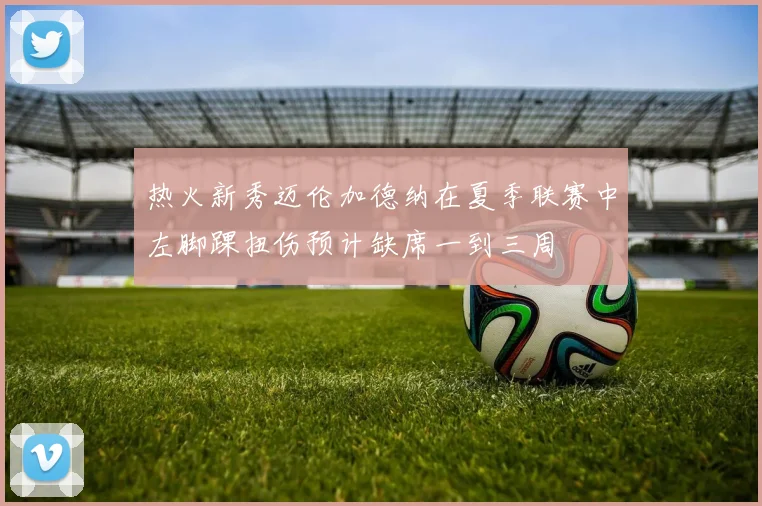 热火新秀迈伦加德纳在夏季联赛中左脚踝扭伤预计缺席一到三周