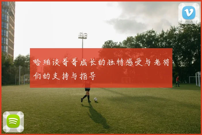 哈珀谈哥哥成长的独特感受与老将们的支持与指导
